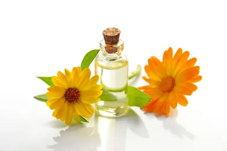 Small bottle of botanical oil beside calendula flowers